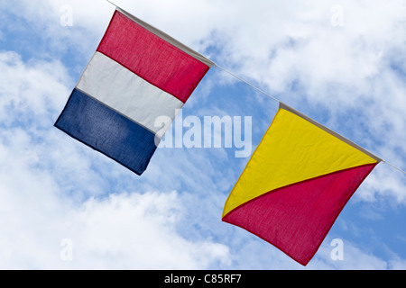 Drapeaux d'été Devon UK Bière Banque D'Images