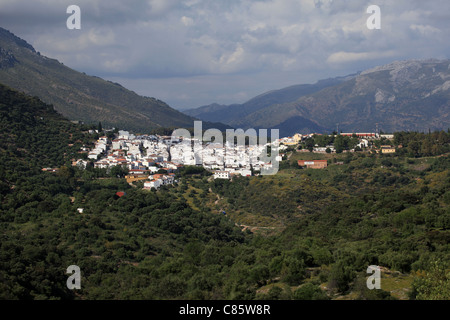 La fin de l'après-midi du soleil qui brille sur les maisons peintes en blanc de Gaucin, un [pueblo blanco] en Andalousie, Espagne Banque D'Images