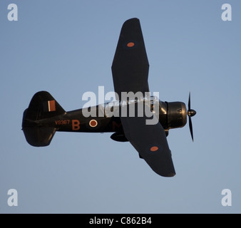 Westland Lysander en vol Banque D'Images