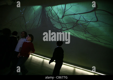 Le Centre Darwin dans l'histoire naturelle de Londres, Angleterre, Royaume-Uni. Banque D'Images