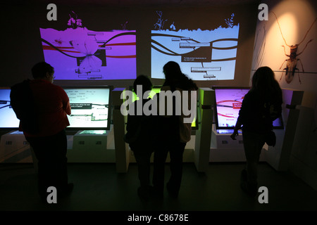 Le Centre Darwin dans l'histoire naturelle de Londres, Angleterre, Royaume-Uni. Banque D'Images