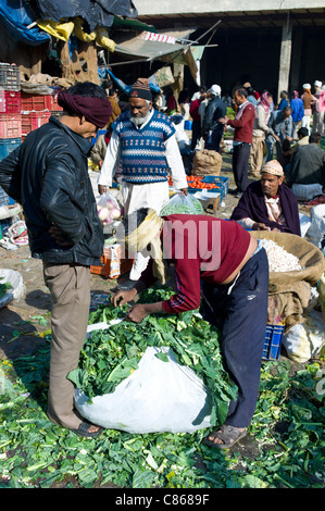 Old Delhi, Daryagang marché de fruits et légumes, feuilles de chou-fleur à l'alimentation animale, de l'Inde Banque D'Images