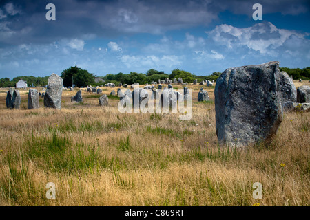 Pierres de Carnac. Village de Carnac. Département du Morbihan, Bretagne, France, Europe. Banque D'Images