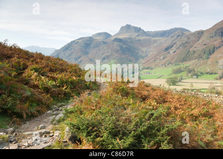 La voie menant vers le Langdale Pikes Banque D'Images