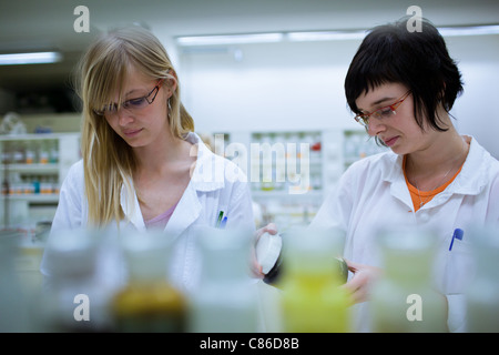 Deux femmes chercheurs dans un laboratoire de chimie Banque D'Images