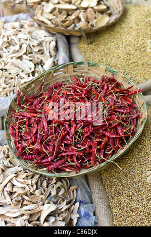Des piments et des mangues séchées skins en vente à Khari Baoli spice aliments séchés et marché, Old Delhi, Inde Banque D'Images