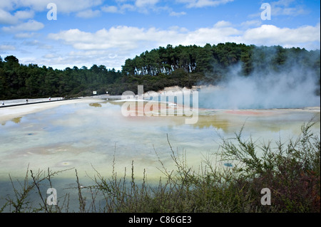 Les belles couleurs et l'eau de cuisson de la palette de l'artiste Wai-O-Tapu Thermal Wonderland Rotorua Nouvelle Zélande NZ Banque D'Images