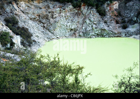 Les eaux vertes de Devil's baignoire Cratère à Wai-O-Tapu Thermal Wonderland Rotorua, île du Nord Nouvelle-Zélande NZ Banque D'Images