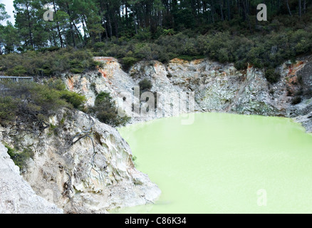 Les eaux vertes de Devil's baignoire Cratère à Wai-O-Tapu Thermal Wonderland Rotorua, île du Nord Nouvelle-Zélande NZ Banque D'Images