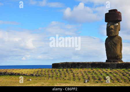 Moai solitaire avec des coraux et des yeux d'obsidienne sur la côte de l'île de Pâques Banque D'Images