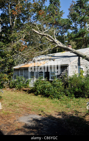 Arbre tombé sur Maison avec toit après une tempête USA Banque D'Images