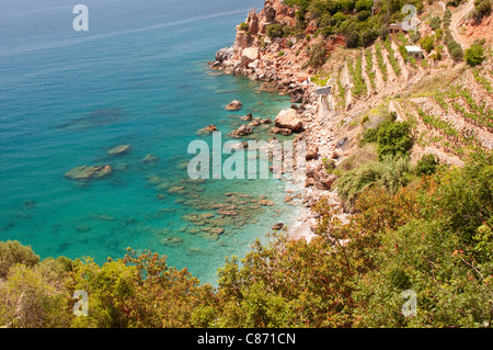 Bananier de fermes et de la mer Méditerranée, le littoral entre Antalya et Kizkelesi, Turquie Banque D'Images