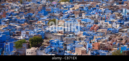 La ville bleue de Brahman, Brahmpuri, région de Jodhpur au Rajasthan, Inde du Nord Banque D'Images