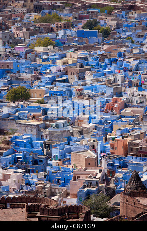 La ville bleue de Brahman, Brahmpuri, région de Jodhpur au Rajasthan, Inde du Nord Banque D'Images