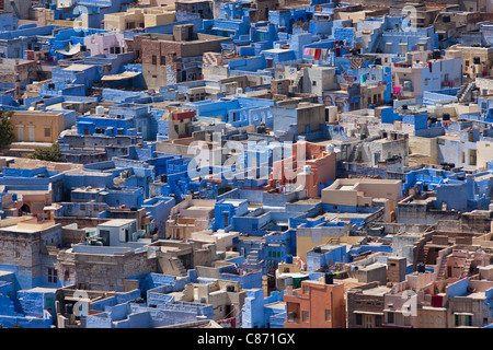 La ville bleue de Brahman, Brahmpuri, région de Jodhpur au Rajasthan, Inde du Nord Banque D'Images