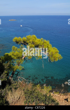 Les côtes du nord de la péninsule d'Akamas à Chypre Banque D'Images