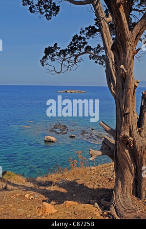 Les côtes du nord de la péninsule d'Akamas à Chypre Banque D'Images