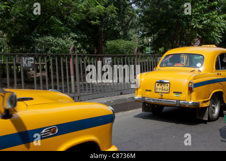 Les taxis jaunes dans une rue de Kolkata (Calcutta), West Bengal, India. Banque D'Images