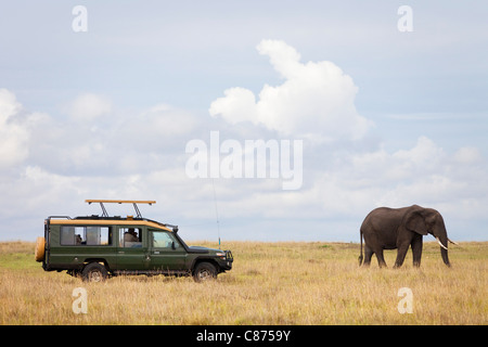 Véhicule Safari et Savane Africaine éléphant, Masai Mara National Reserve, Kenya Banque D'Images
