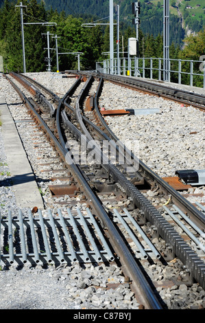 Point de fer / participation - Cog mountain railway track (système Strub), Oberland Bernois, Suisse Banque D'Images