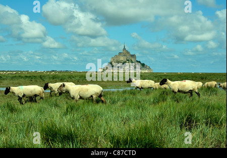 Elevage - agriculture - rentrée des moutons a la ferme -es champetres du centre de la France - 1905
