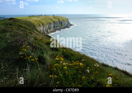 Une vue de portland bill dorset en regardant la mer de fleurs sauvages sur la falaise à l'avant-plan Banque D'Images