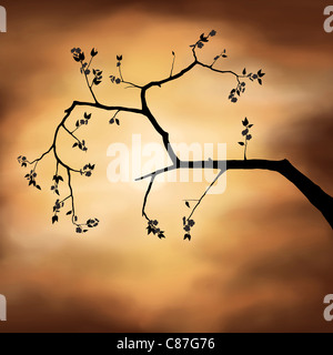 Illustration d'une branche d'arbre silhouette. Fleur de cerisier Sakura plus orageux spectaculaire coucher de soleil et le ciel Banque D'Images