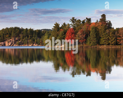 Colorful autumn trees reflecting in a lake. Beautiful fall nature scenery. George lake, Killarney Provincial Park, Ontario Banque D'Images