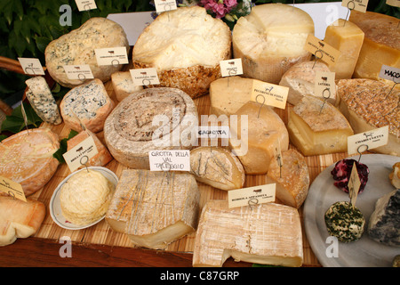 Diverses sortes de fromage, Colloredo di Monte Albano, Italie Banque D'Images
