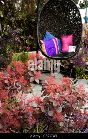 'Black and Blue' Retour au jardin arrière, 2011 RHS Flower Show Tatton Park Banque D'Images