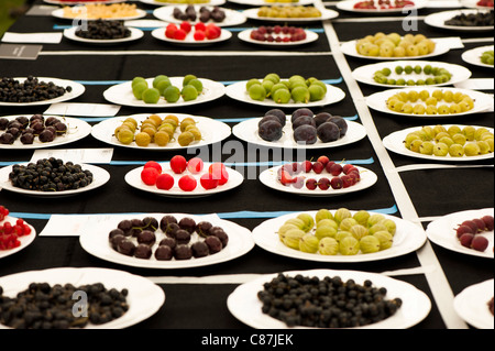 Les participants à l'été de la concurrence des fruits et légumes Pavilion at 2011 RHS Flower Show Tatton Park Banque D'Images