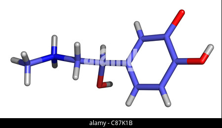 L'adrénaline est une hormone synthétisée dans la médullosurrénale. Banque D'Images