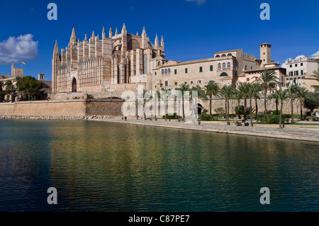 La cathédrale de Palma La Seu et Parc de la Mar centre historique de la ville vue à travers l'Espagne Baléares Majorque mer Banque D'Images