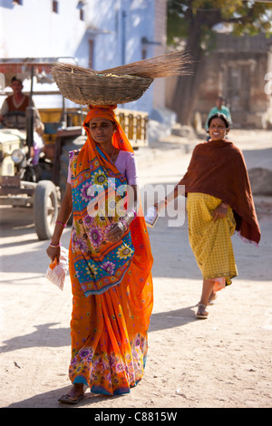 Jeune femme indienne transportant du grain récolte dans Narlai village de Rajasthan, Inde du Nord Banque D'Images