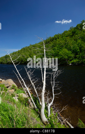 Lac de montagne Lower Cascade près de North Elba, New York NY Banque D'Images