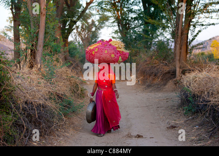 Travailleur agricole de retour à la maison avec le foin après avoir travaillé dans les champs à Nimaj, Rajasthan, Inde du Nord Banque D'Images