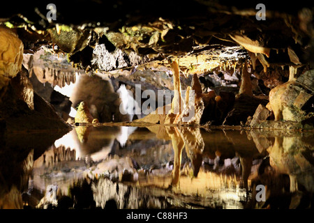 Piscine de l'eau souterraine dans les grottes de Cheddar, Somerset, England, UK Banque D'Images