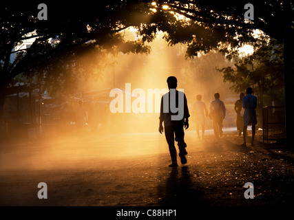 L'homme indien silhouette marchant à travers les arbres de tunnel au coucher du soleil. L'Andhra Pradesh, Inde Banque D'Images