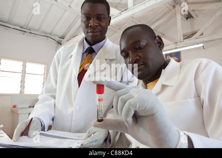 Les techniciens de laboratoire des échantillons de sang d'essai des patients atteints du VIH dans un hôpital de Luanshya, Zambie. Banque D'Images