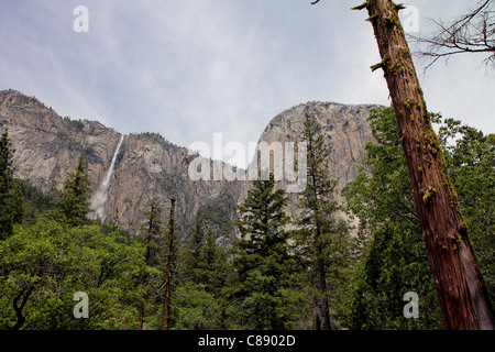 Chutes de ruban, grand angle, Yosemite National Park, la Sierra Nevada, en Californie Banque D'Images