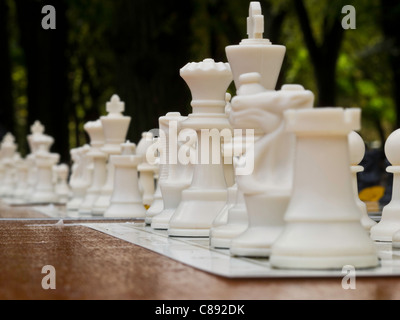 Tournoi d'échecs dans Central Park, NYC Banque D'Images