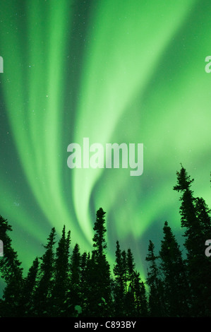 Aurora Borealis ou Northern Lights, Territoires du Nord-Ouest, Canada Banque D'Images