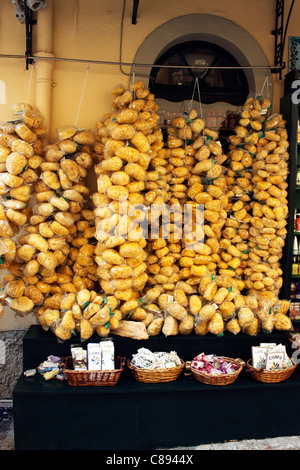 Les Éponges naturelles À VENDRE DANS la vieille ville de Corfou. Corfou. Banque D'Images