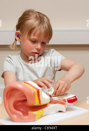 Enfant (5 ans) avec l'étude de l'aide auditive le fonctionnement interne de l'oreille humaine Banque D'Images