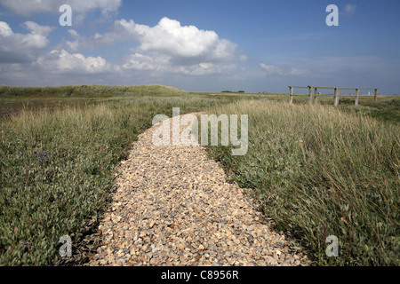 Chemin menant de l'avant à Shingle Point de fuite sur l'horizon, réserve d'oiseaux RSBP, Havergate Island, Suffolk, UK Banque D'Images