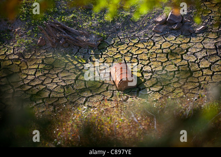 Le lit d'une rivière à sec, à l'été (Puy-de-Dôme - Auvergne - France). Le lit d'une rivière asséchée, en été (France). Banque D'Images