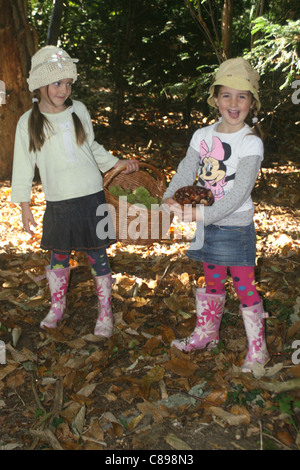 Les enfants la collecte de châtaignes ( Olea europea ) dans un bois, en Angleterre , Royaume-Uni , Europe Banque D'Images