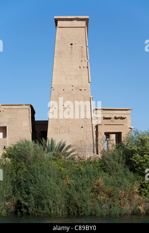 Pylônes au Temple d'Isis à Philae, Île Aglika, Assouan Haute Egypte Banque D'Images