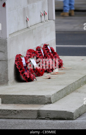 Vues générales du dimanche du Jour du Souvenir au cénotaphe de Londres 2010 - Image Copyright Ben Pruchnie Banque D'Images