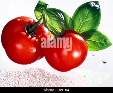 Les tomates rouges et de feuilles de basilic Banque D'Images